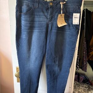 Democracy Ab-Tech Skinny Ankle Women's Blue Jeans